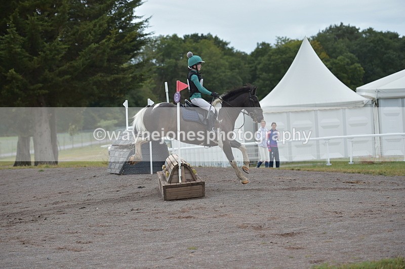 NGP_2738 - XC Time 11:37 to 11:57