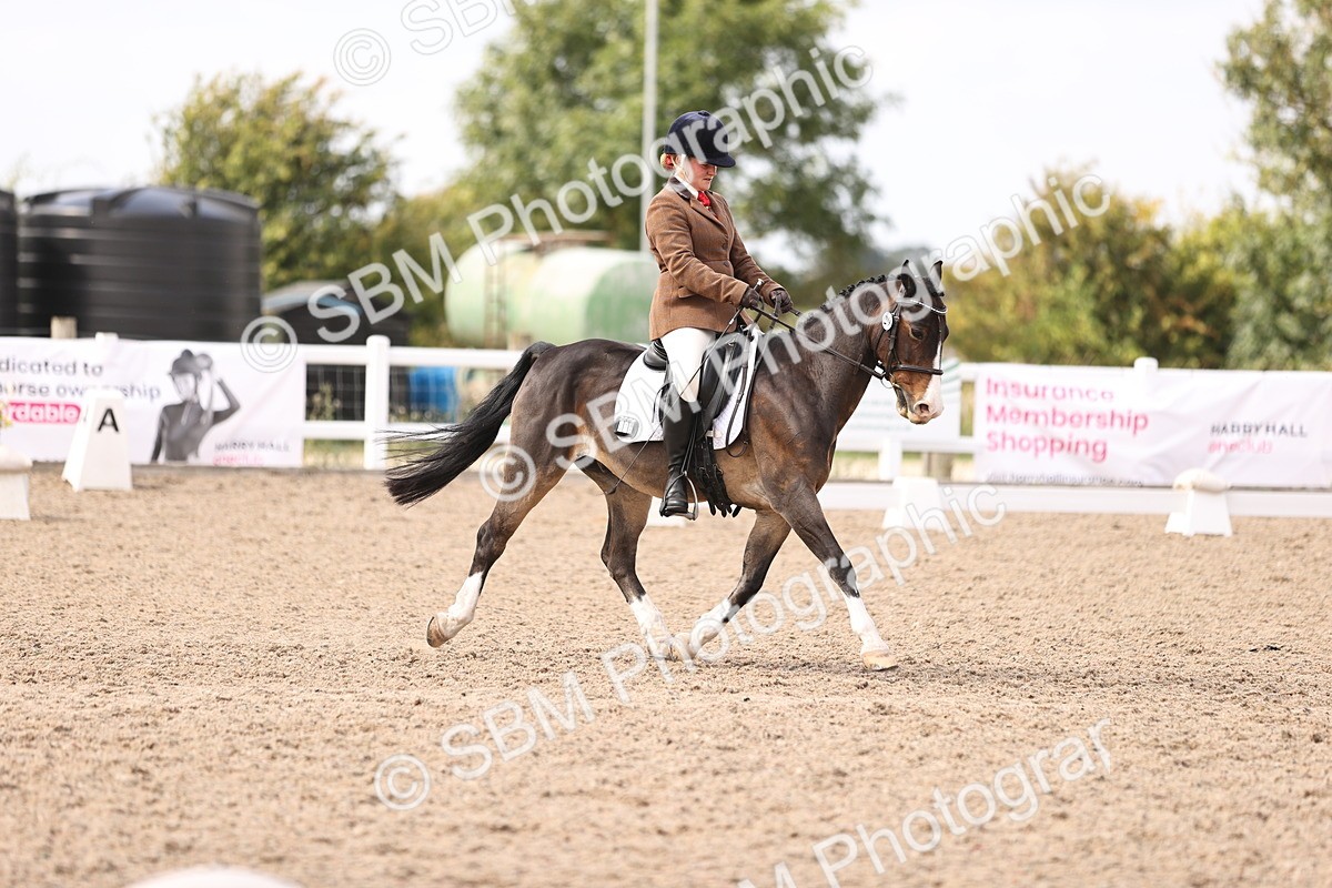 SBM_06061 - Class 37 Novice 5