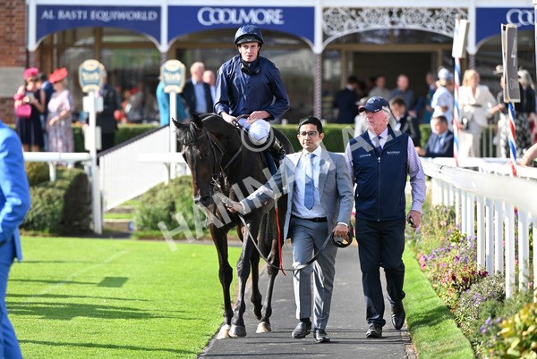 220825-252 Frescobaldi - Race 6 4.45pm British Stallion Studs EBF Convivial Maiden Stakes
