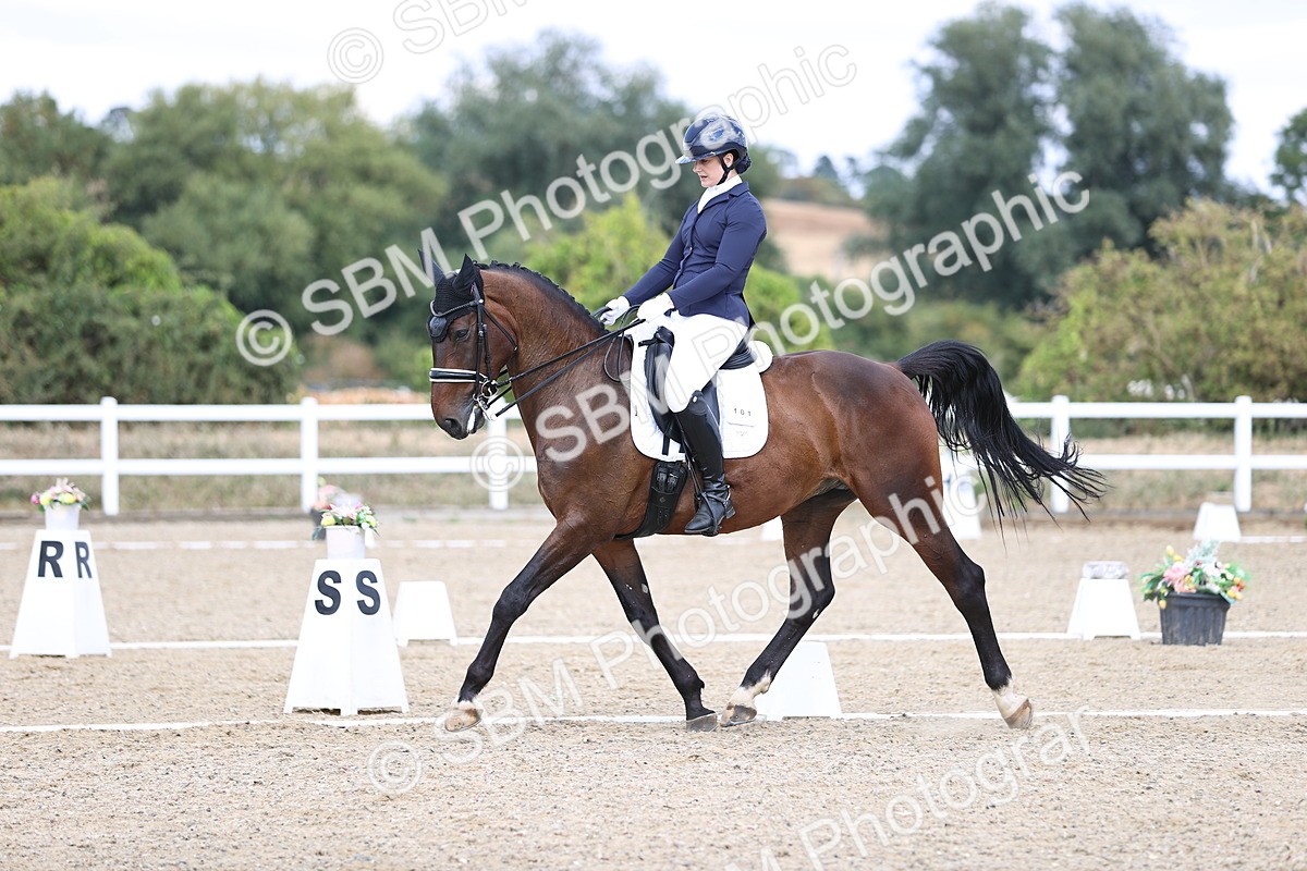 SBM_015191 - Class 5 - E5 Bronze 14.42.15.54
