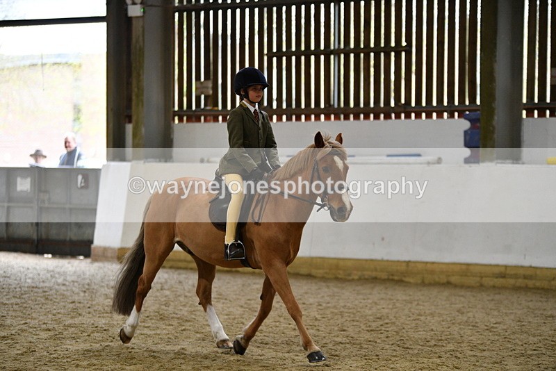 WJ5_7260 - Class 11 Ridden PC - RC Pony