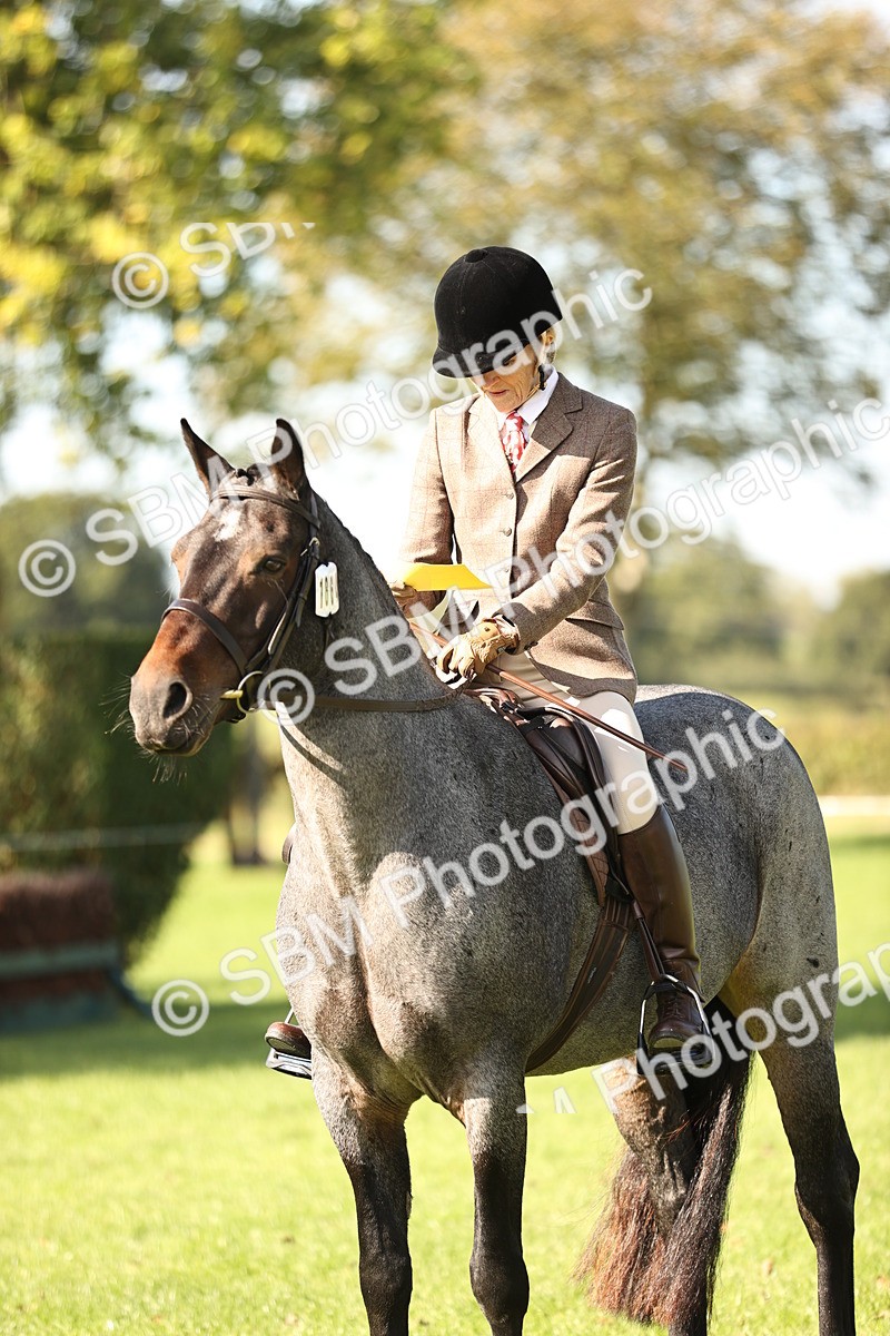 SBM_17017 - S2 - TSR Ridden Pony Showing
