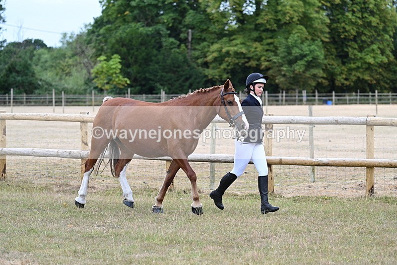 WJ7_8764 - Class 4a Prettiest Mare 14.2hh and over