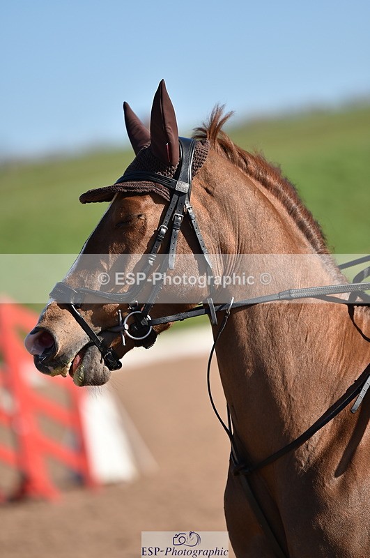 240306A-100548-00695 - Cls 1 British Novice and 90cm Open