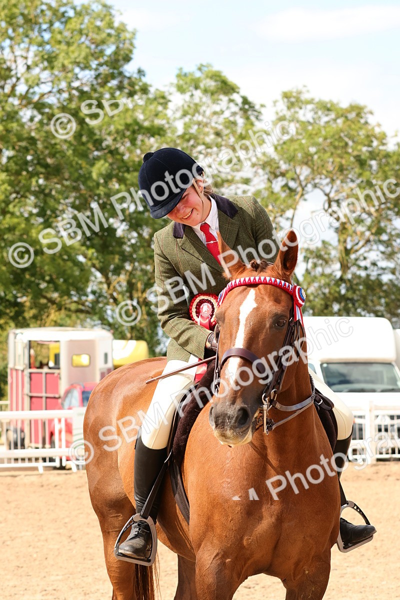 SBM_14173 - Class 213 - Ridden Hack Riding Horse