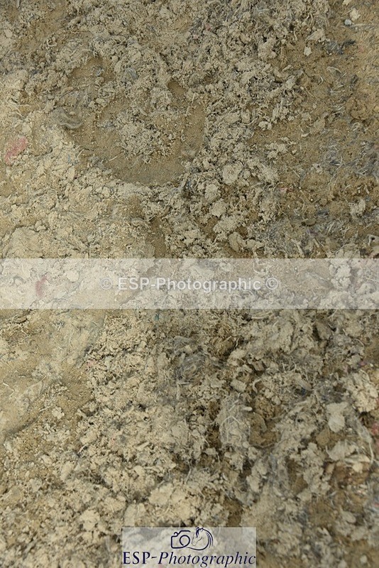 230812-160418-05373 - FEI PSG Bronze Presentations