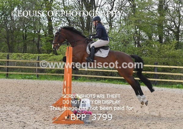 BPP_3799 - CLASS 3 Senior British Novice/ 90cm Open