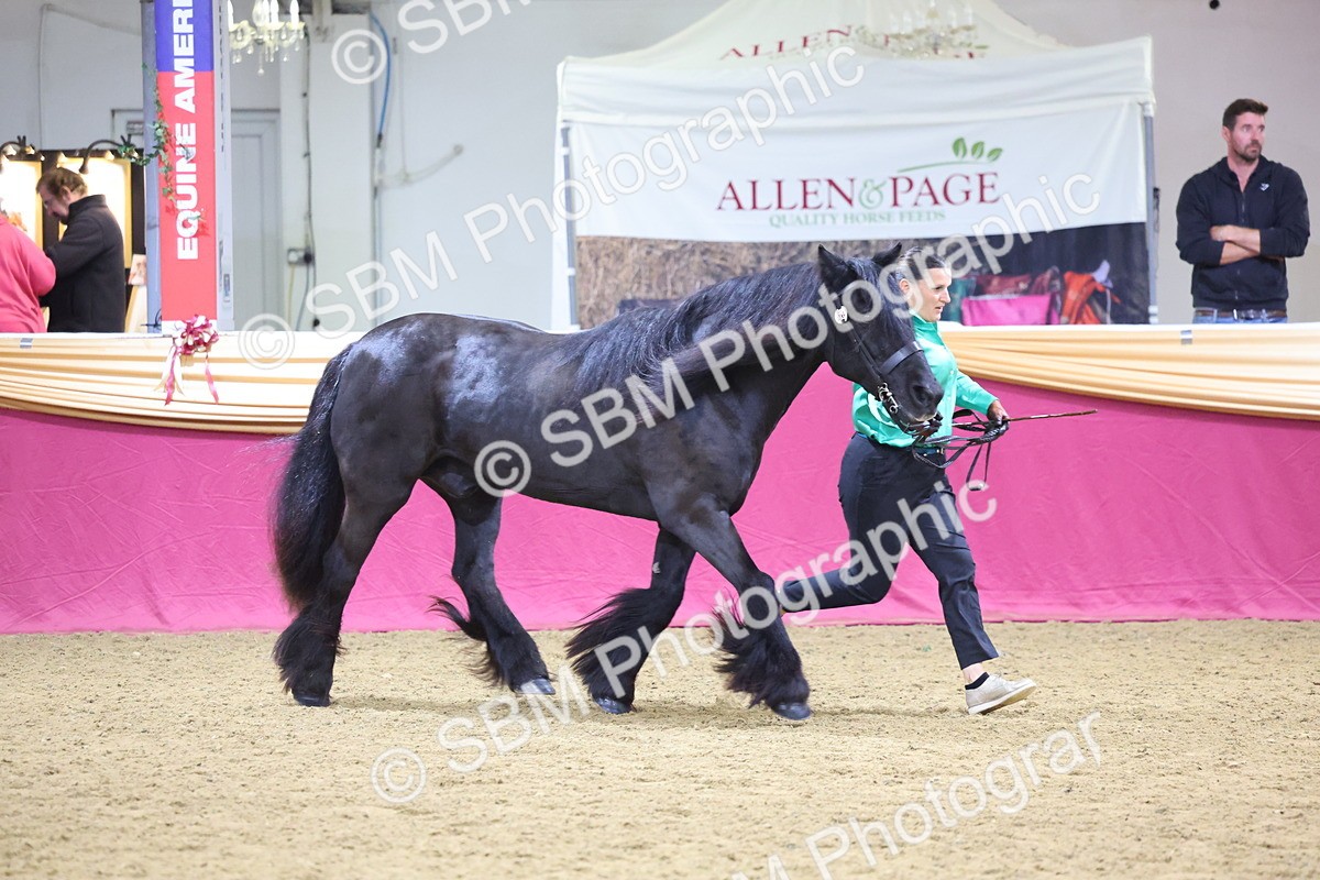 SBM_19650 - Class 901 - Supreme Final - IH Diamond