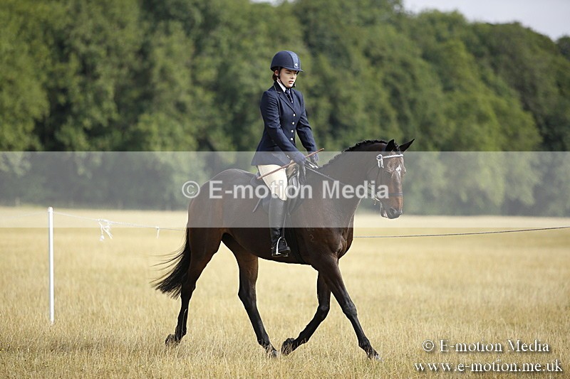 _C7A9261 - BVRC Show 2018 Ring 1