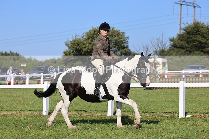 IMG_1496 - Class 30: Ridden Native/Trad Coloured Pony