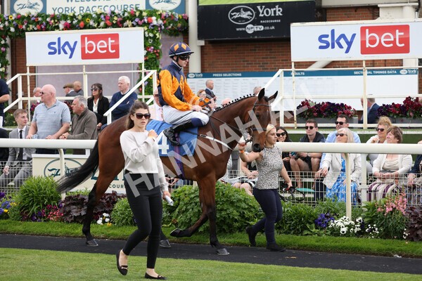 yr10062022r5-11 - Race 5 4.05pm Irish Thoroughbred Marketing Stakes