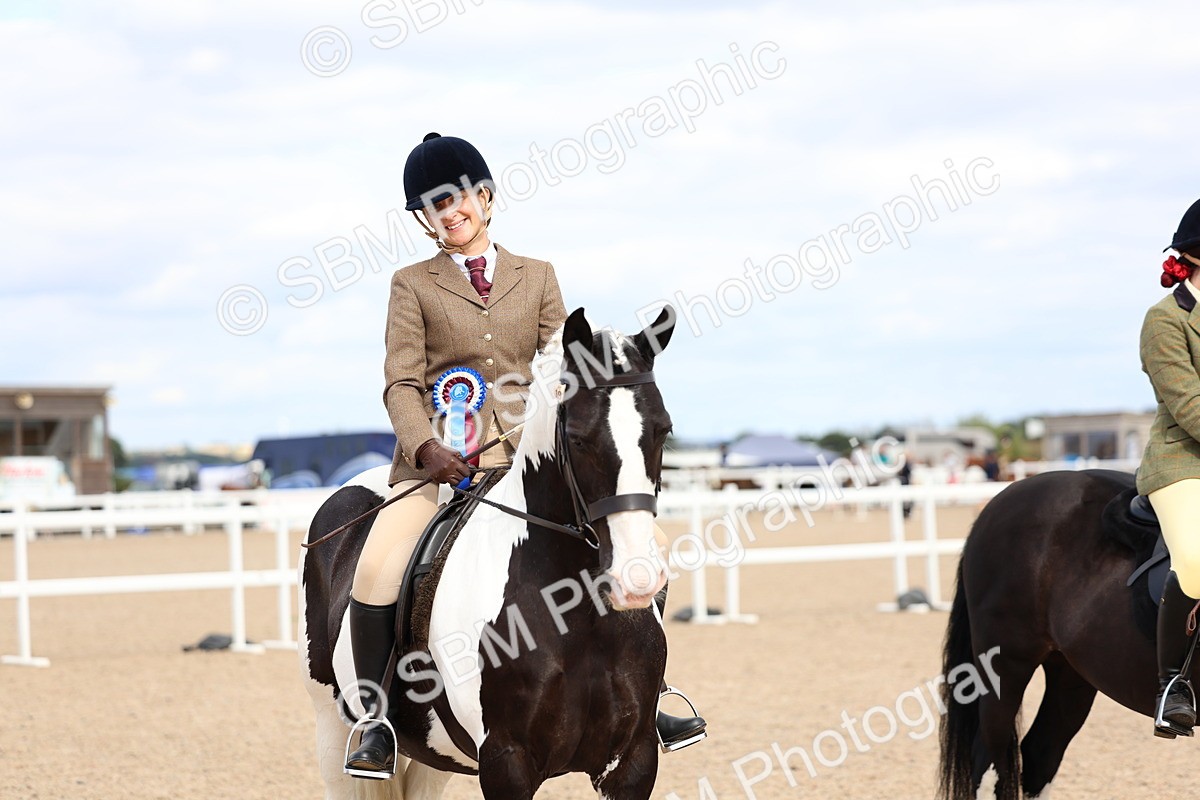 SBM_15863 - Class 314 - Family Horse - Pony