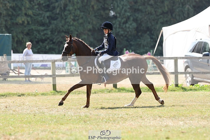 250823A-122007-29766 - Arena C