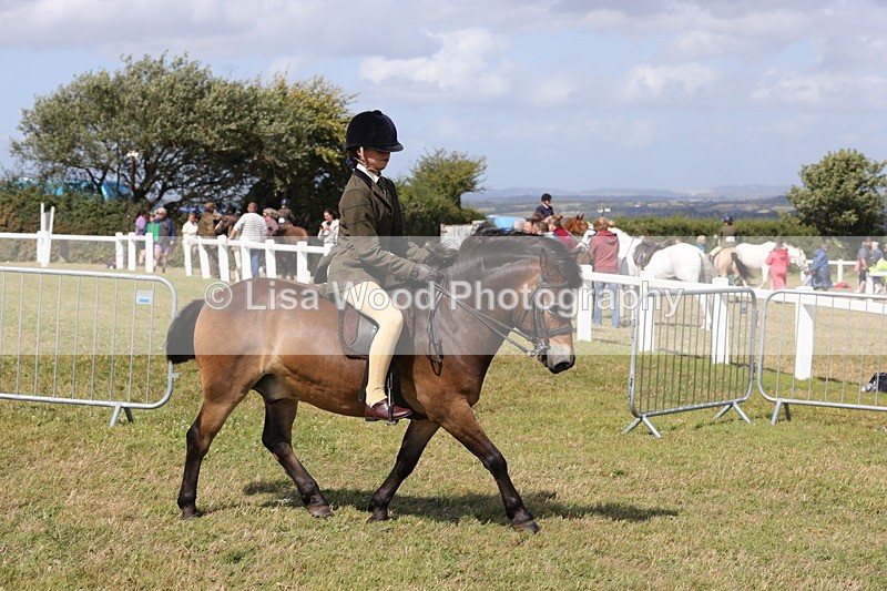 1X9A5570 - Class 39: NPS Dartmoor, Exmoor, Shetland