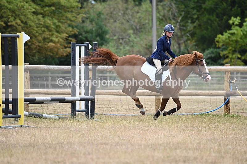 WJ6_0392 - Class 13 Novice Jumping 60cm