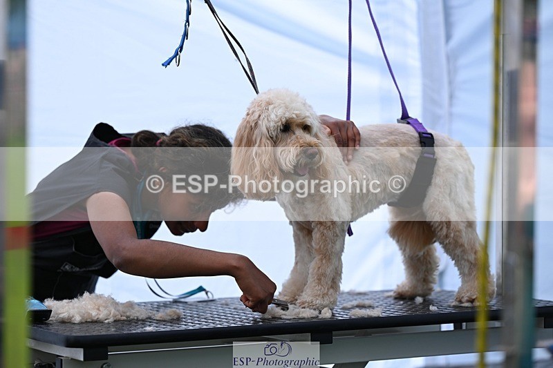 240525-114813-12629 - Candid and Saturday Hobby Horse