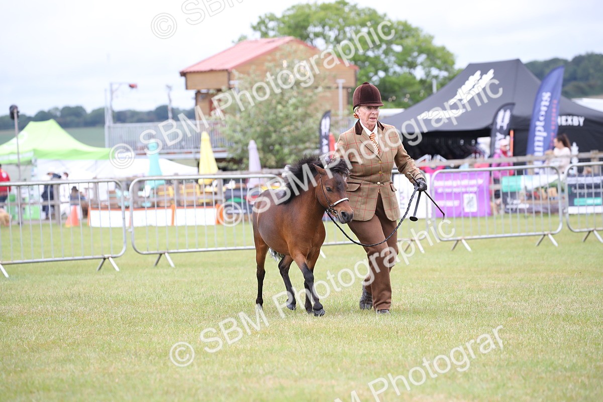 SBM_03763 - Class 23-25 - British Miniature Horse of the Year