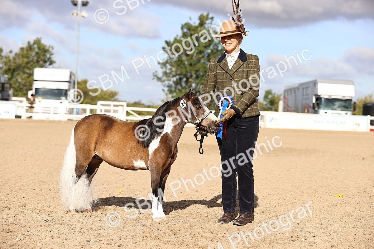 SBM_08542 - Class 402 - IH Veteran Pony