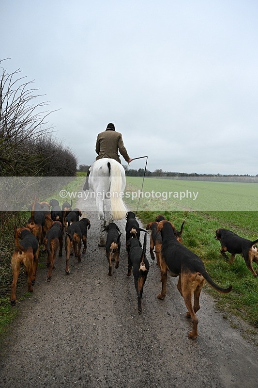 WJ7_9611 - Walk out..