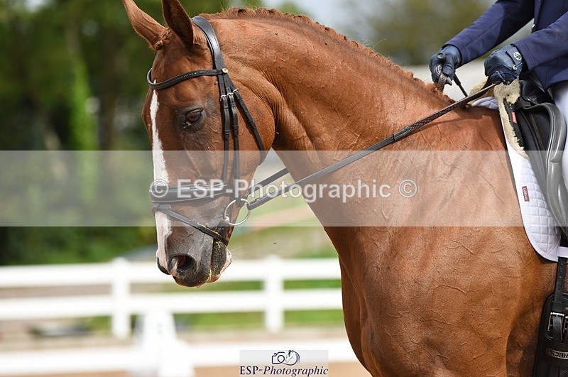 230912A-120918-00709 - Cls 8 Elementary 59