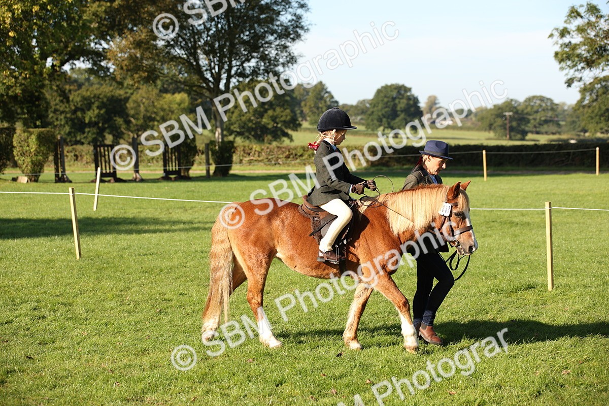 SBM_35648 - S9 - Lead Rein Equitation