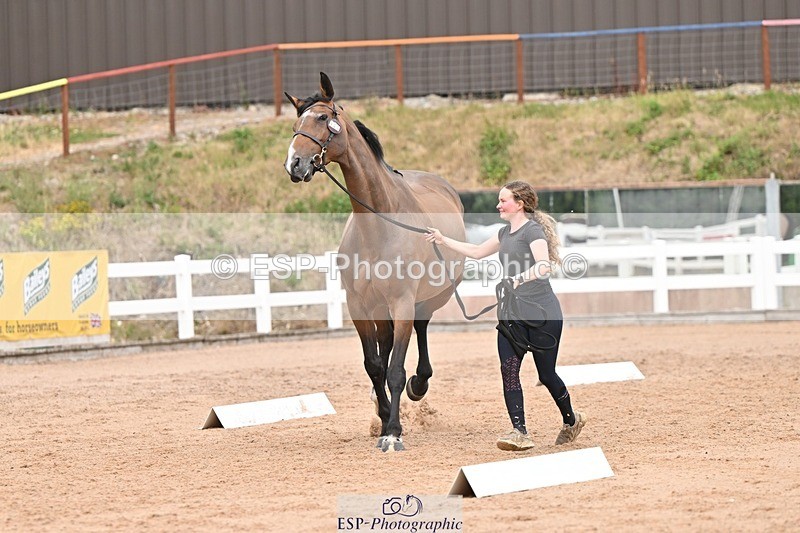 250716-161959-02571 - Trot Up 3.30 to 4.30