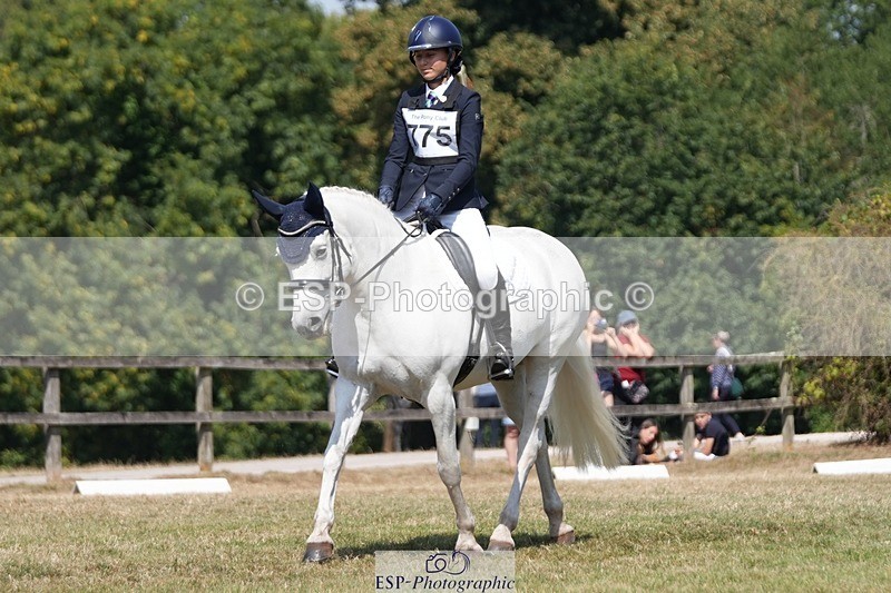 250823A-121851-29286 - Arena A