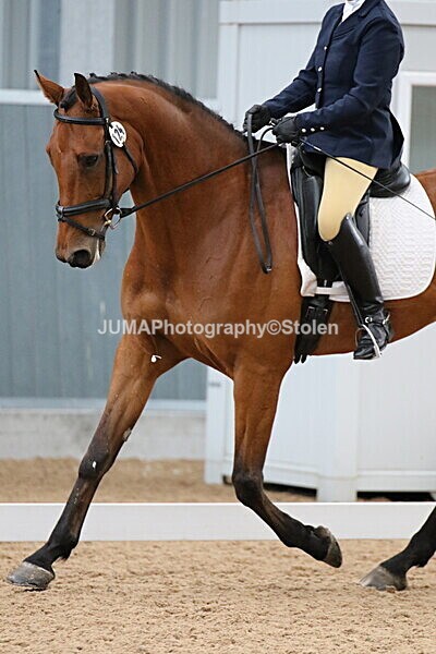 SIAL0105 - GDG Bogenraith Friday 26th Sept 2025