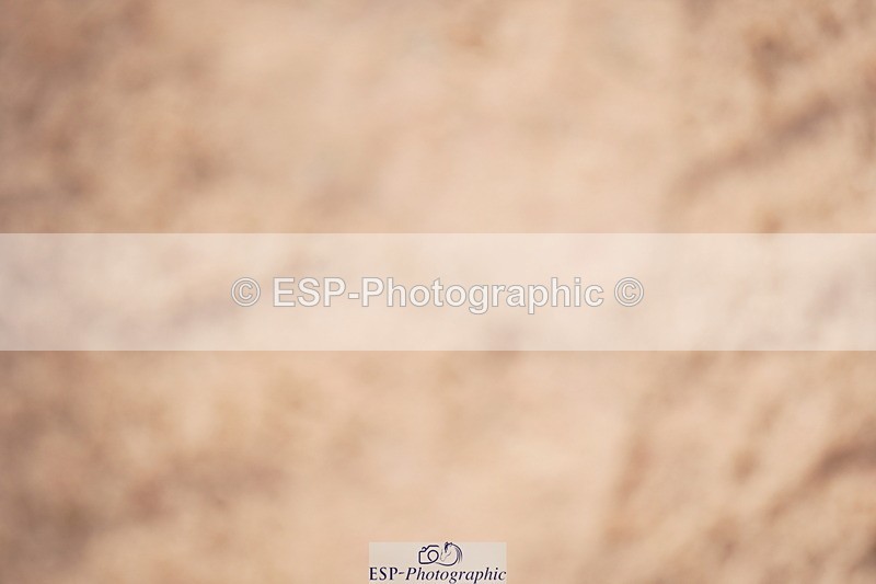 240506A-111156-08526 - Cls 14 Under 11 128cm