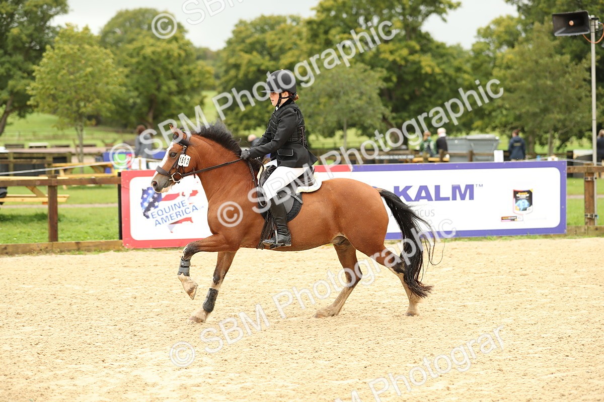 SBM_34251 - J60 Clear Round 50cm