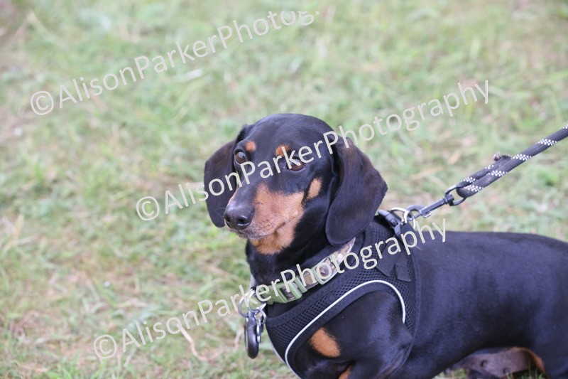 20250607-0495 - Misc