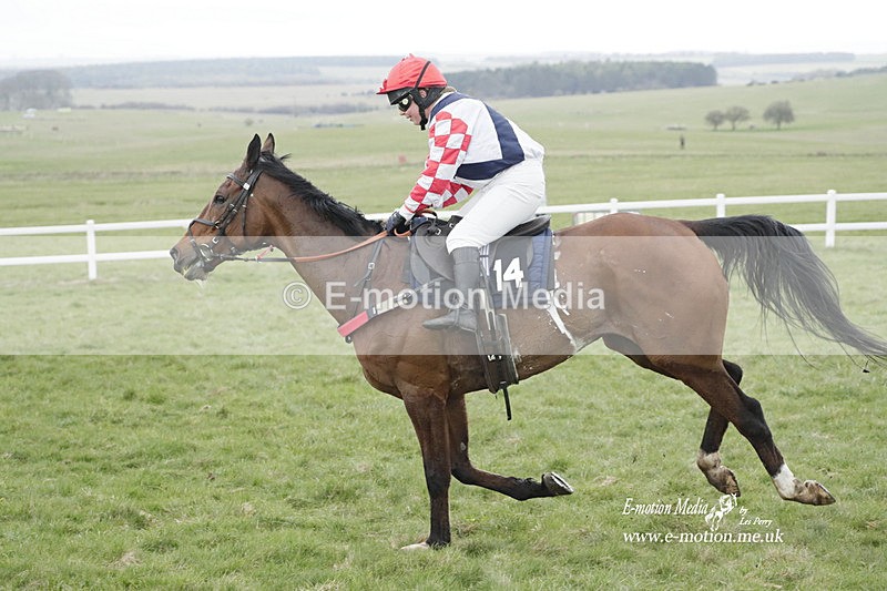 PtP 260323 0598 - New Forest Hounds Point-to-Point Larkhill 26/03/23