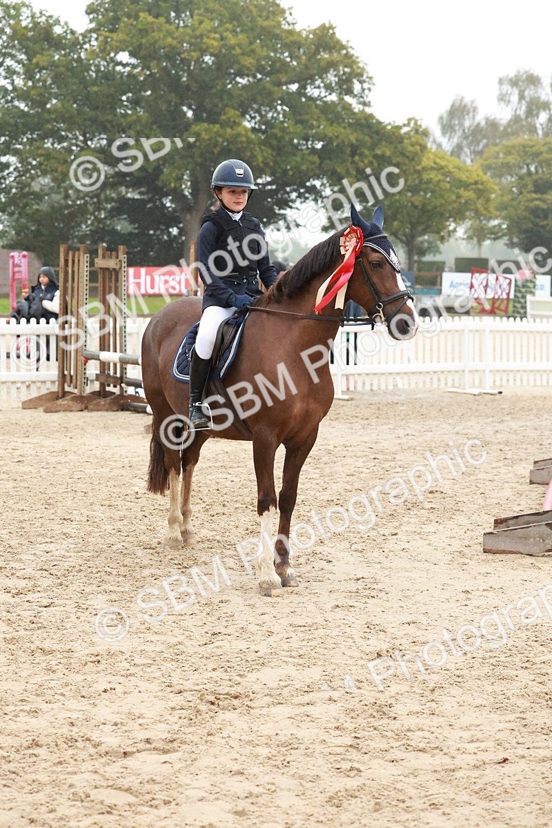 SBM_73587 - Supreme Championship Junior Pony 60cm & 65cm