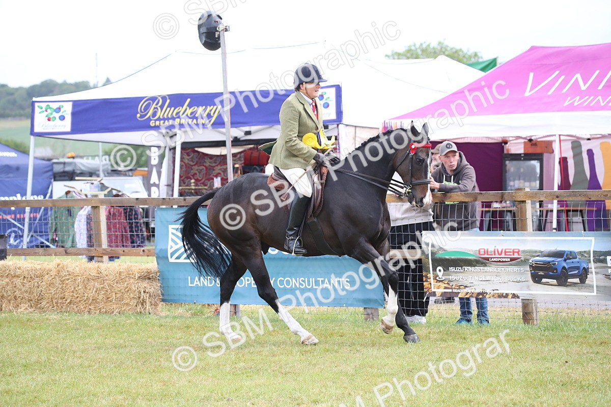 SBM_11484 - Class 94 - LIHS BSHA Racehorse to Showhorse