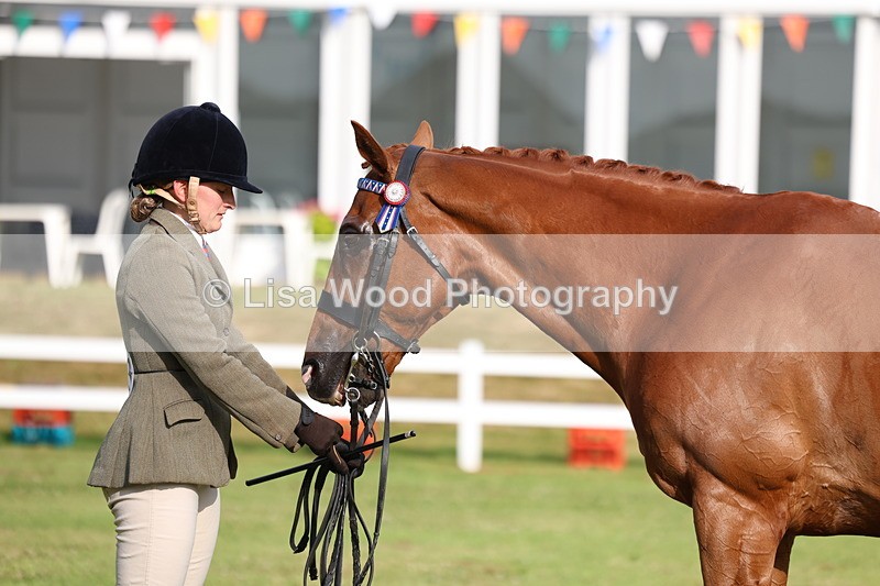 3E7A7893 - Class 1: Rising Star Small Hack/Riding Horses