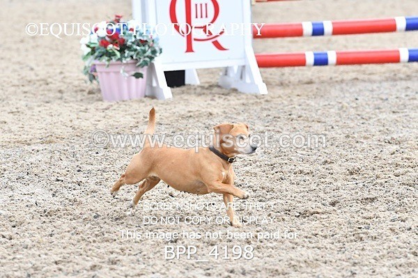 BPP_4198 - SUN CLASS 18 Club/ Unaff 70cms Open