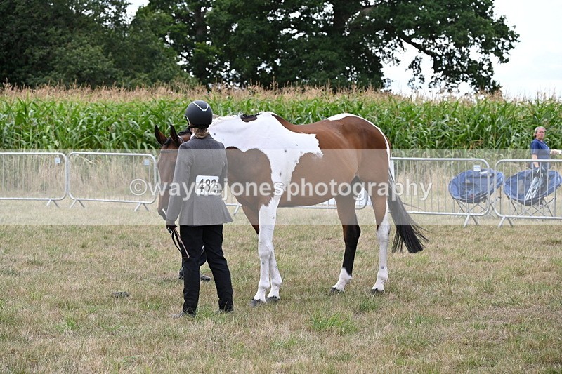 WJ6_6058 - Class 19 In-hand Veterans (Uploaded correct folder)