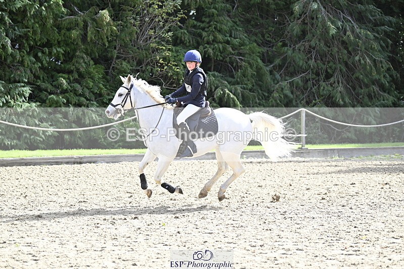 251005A-125433-03956 - Cls 08 Mini 70-75cm