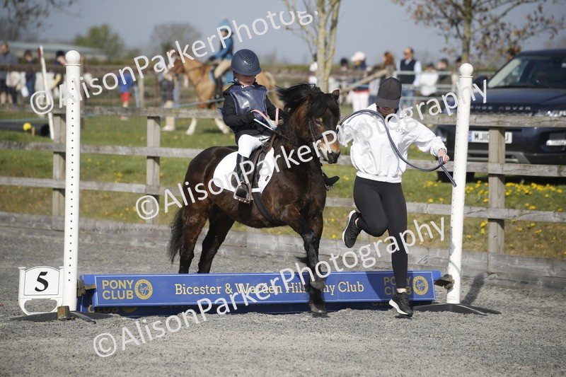 20250412-0133 - Show Jumping