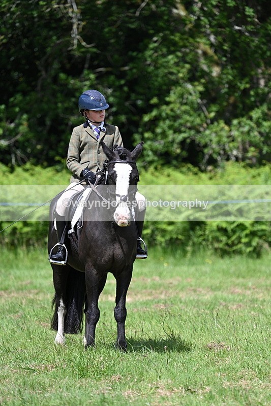 WJ7_1757 - Class 9 Pony Club Pony