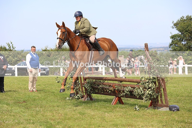 JPP_3752 - Class 23: Working Hunter 80cm