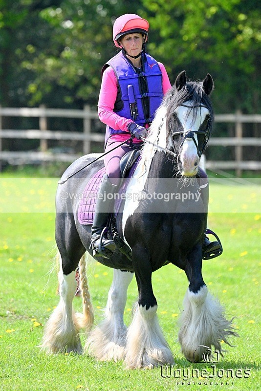 WJ7_6776 - The stables at Tweseldown 27-04-25