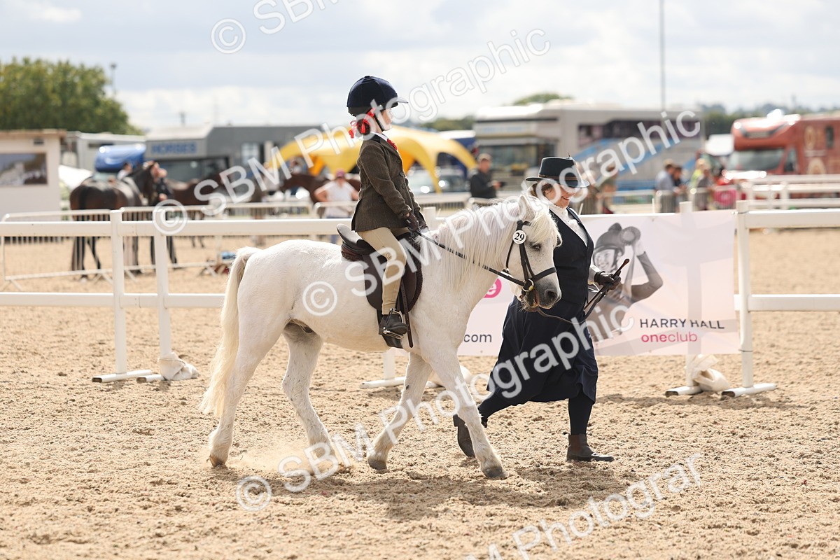 SBM_15766 - Class 309 - Lead Rein Pony