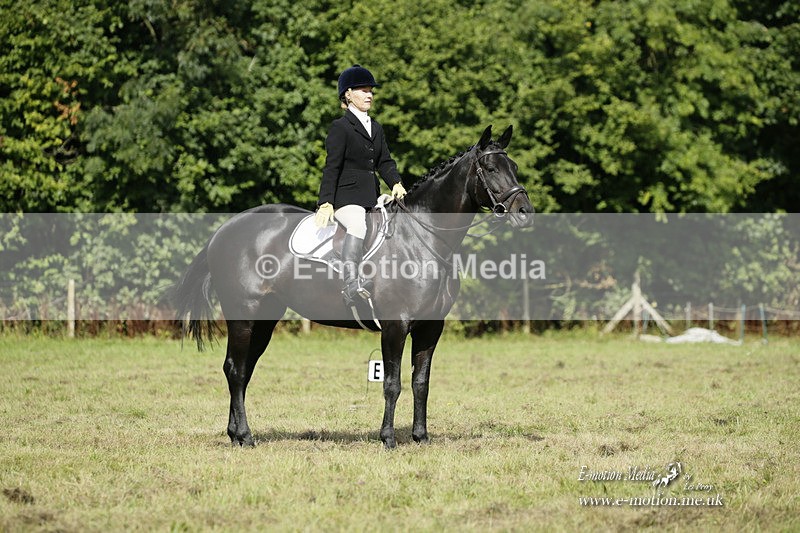BVRC 120921 272 - Bourne Valley Riding Club UA Dressage & Show Jumping 12/09/21