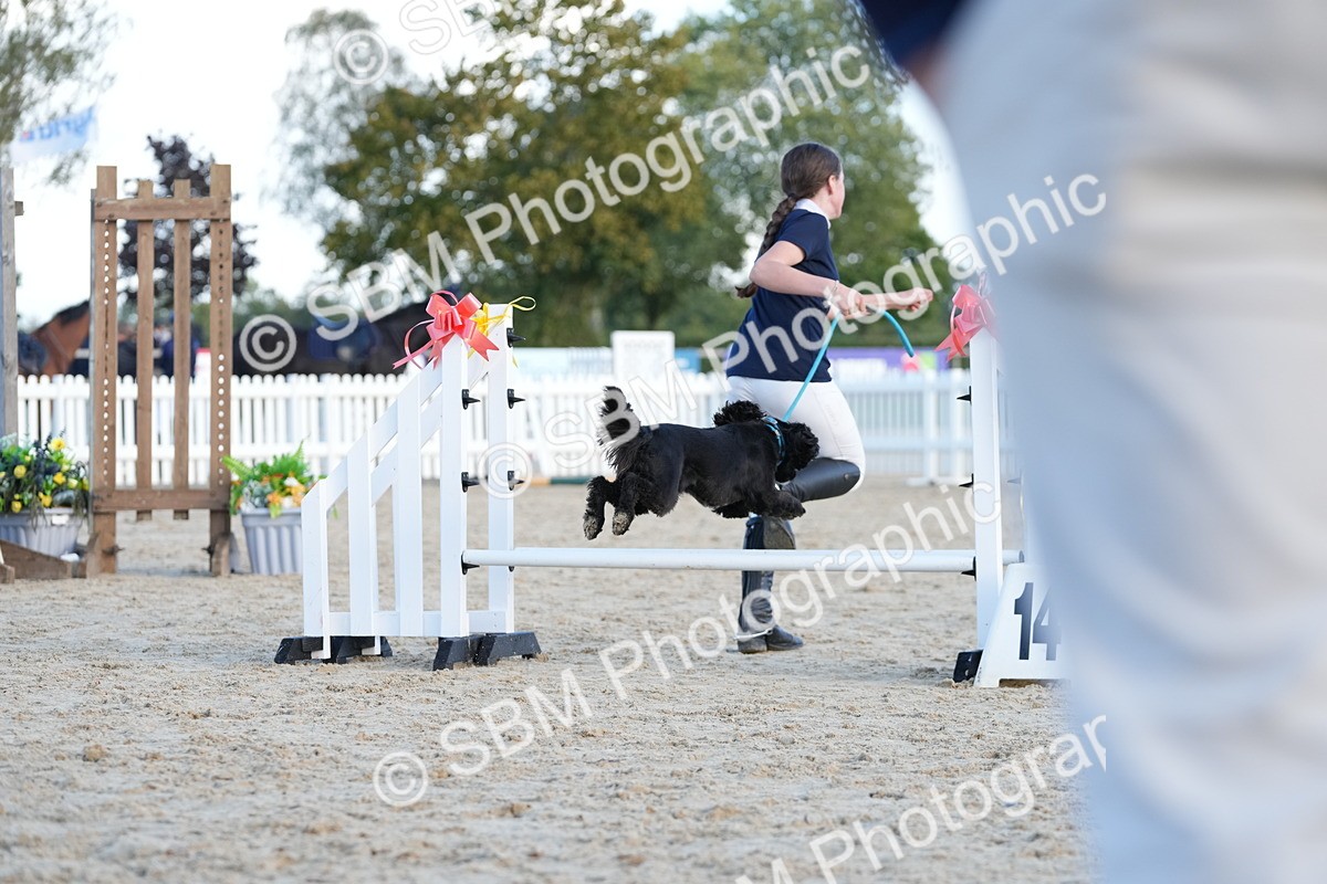 SBM_29071 - J43 - Horse & Hound Open 50cm