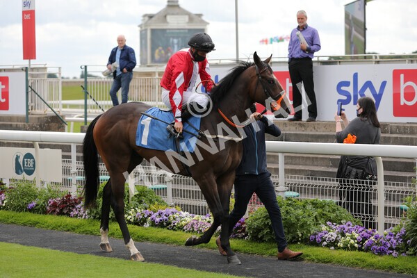 yr11062021r1-3 - Race 1 1.45pm eventmasters.co.uk British EBF Novice Stakes