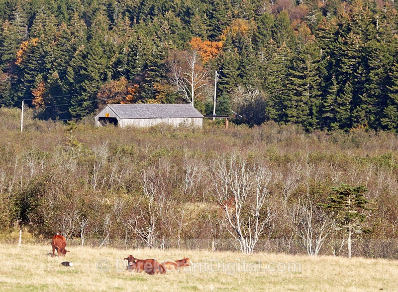 Shepody River #3 (Germantown Lake) - 2 - Covered Bridges of New Brunswick