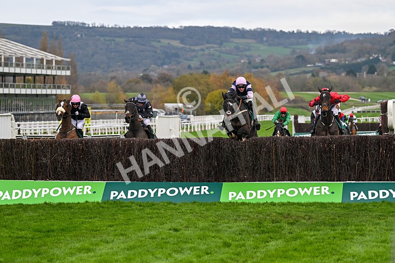 161124-Race 2-Java Point-9651 - Race 2