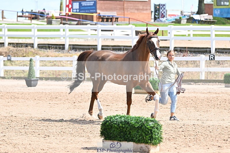 240717A-152704-02835 - Trot Up 3pm to 4pm