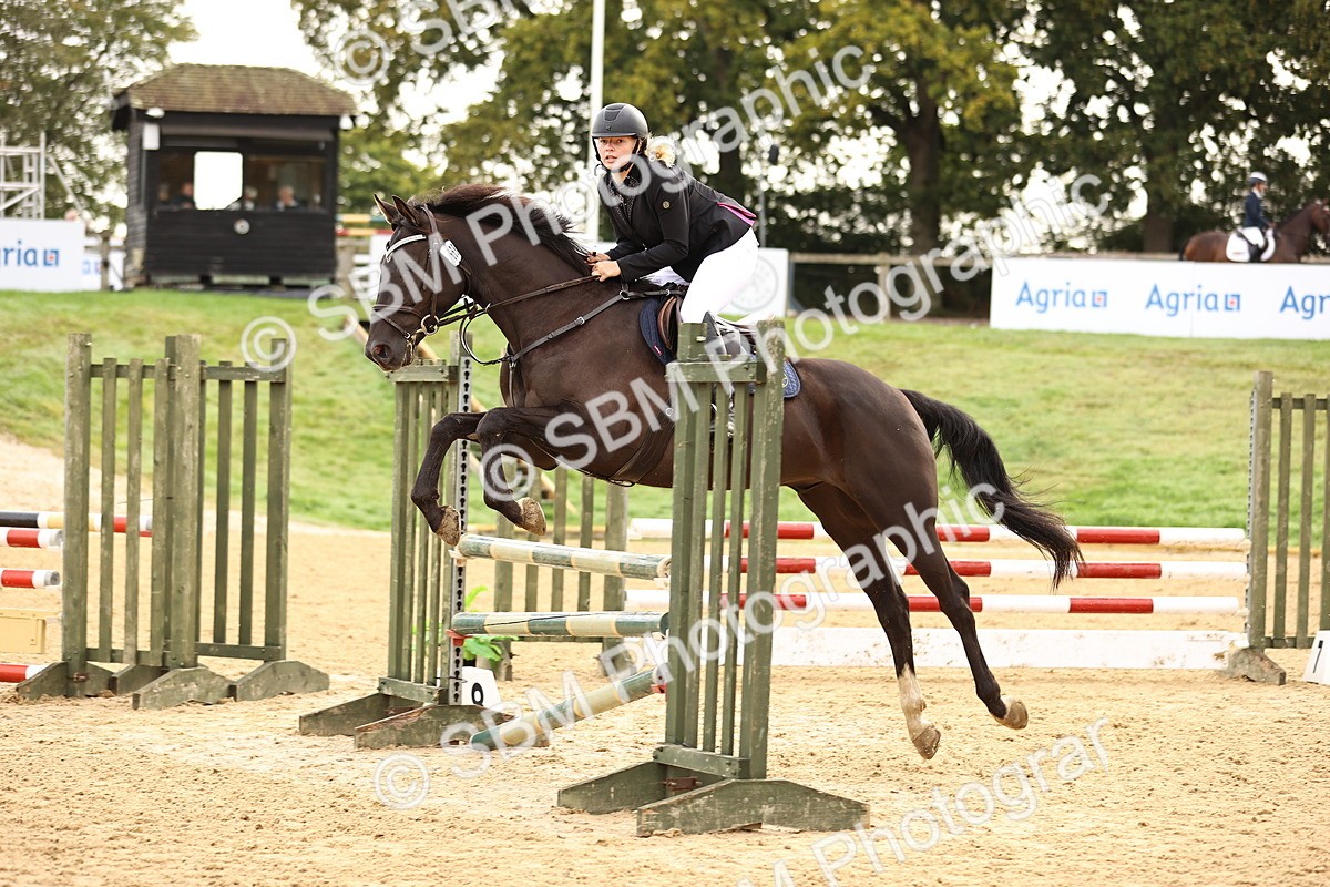 SBM_58481 - J41 - Grand Tour Horse & Pony 95cm